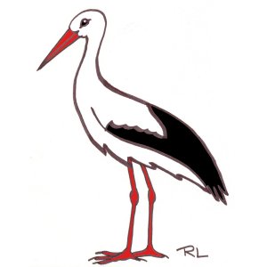 coloriage de cigogne blanche