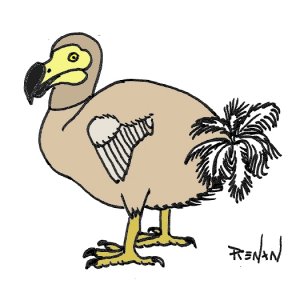 coloriage de dodo