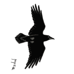 coloriage de grand corbeau