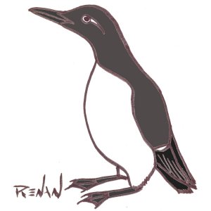 coloriage de guillemot de Trol