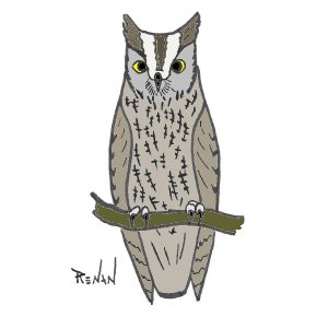 coloriage de petitduc scops