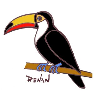 coloriage de toucan toco