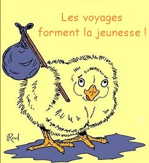 la migration des oiseaux