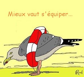 oiseau plagique