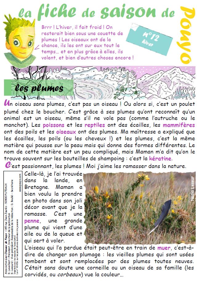 La Fiche de Saison, ressource pdagogique sur les oiseaux et l'ornithologie