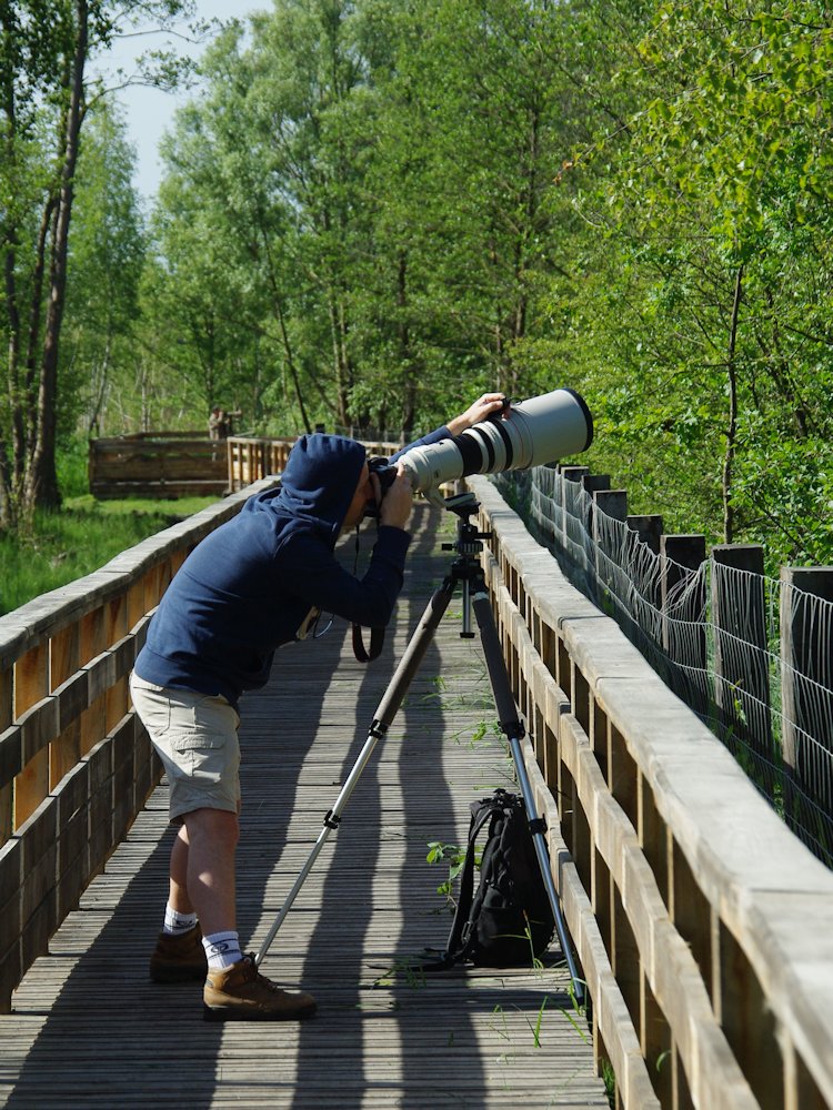 La photo d'oiseaux avec Rodolphe Lesourd