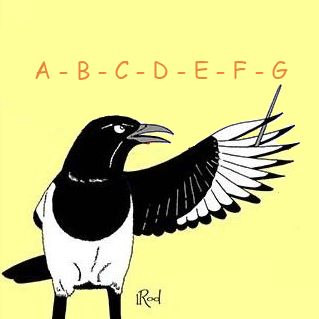 le glossaire ornithologique de Pouyo