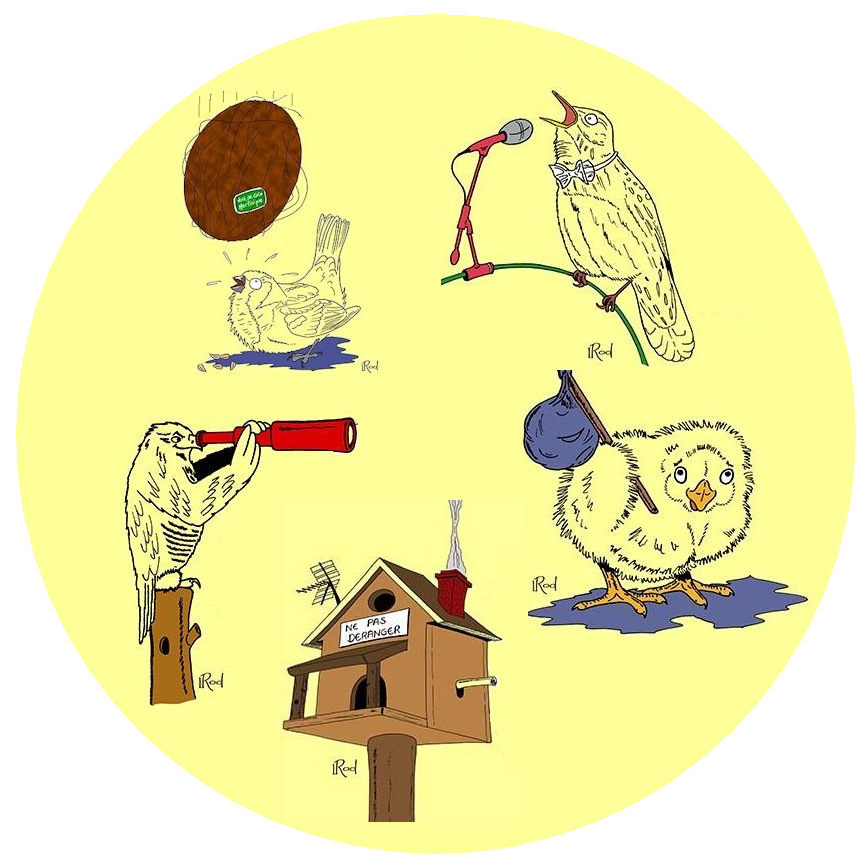 le glossaire ornithologique de Pouyo