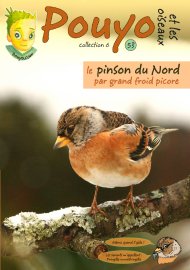 la Une de la fiche oiseau de Pouyo sur la Msange huppe